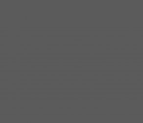 Nulla consectetur nisi